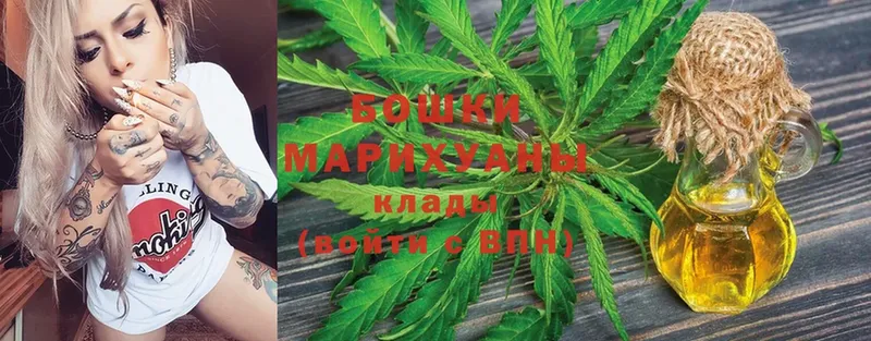 как найти наркотики  MEGA маркетплейс  Бошки Шишки гибрид  Ясногорск 